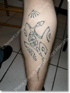 lezard-polynesien-mollet-tatou.jpg