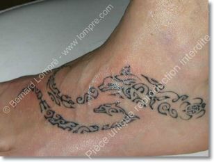tattoo-dauphin-pied.jpg