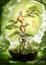 bonsai---tree-of-life-171210-530-746